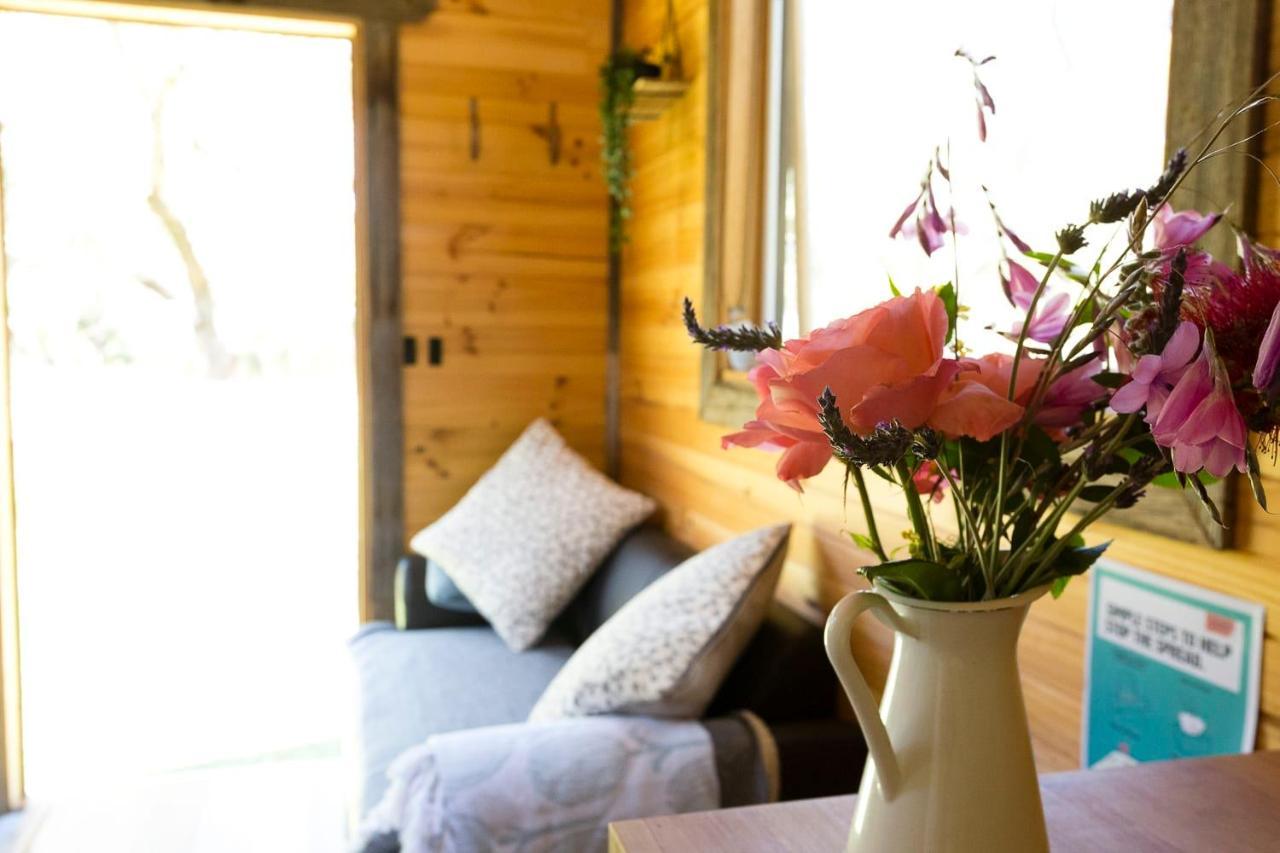 Ardingly Tiny House Villa Newham ภายนอก รูปภาพ